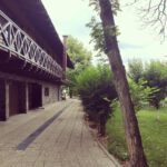 Thrive Camp